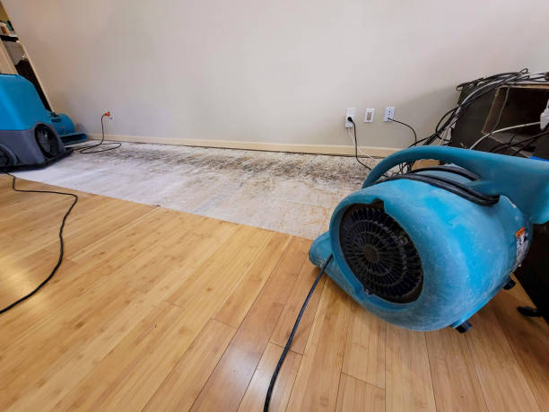 Professional Flood Damage Cleanup technician working in El Mirage, AZ